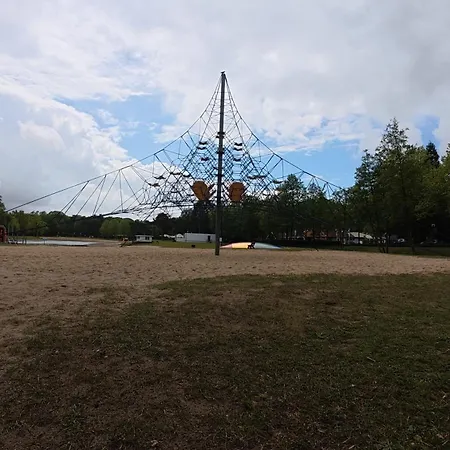 Op De Veluwe - Europarcs De Zanding - *