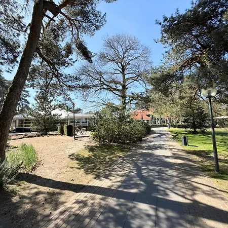 Op De Veluwe - Europarcs De Zanding - * Otterlo